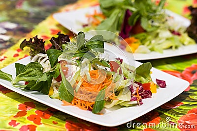 Fresh,big italian summer salad Stock Photo