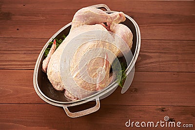 Fresh of bird carcass in a pan Stock Photo