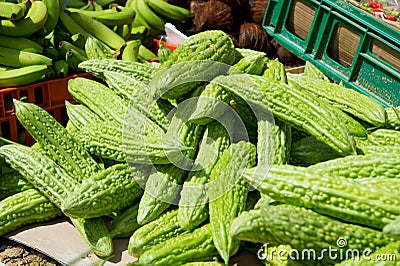 Fresh bitter melon or gourd Stock Photo