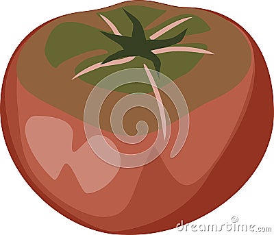 Fresh black-red tomato Vector Illustration