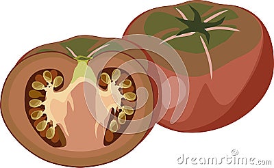 Fresh black-red tomato whole and cut in half Vector Illustration