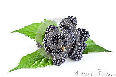 Fresh blackberry with leaves Stock Photo