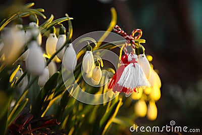 Fresh blooming snowdrops and traditional martisor outdoors. Spring flowers Stock Photo