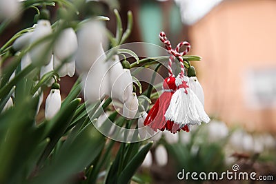 Fresh blooming snowdrops and traditional martisor outdoors. Spring flowers Stock Photo