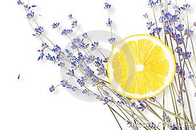 Fresh blue lavender with big lemon slice on white Stock Photo