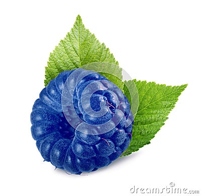 Fresh blue raspberry and green leaves isolated on white Stock Photo