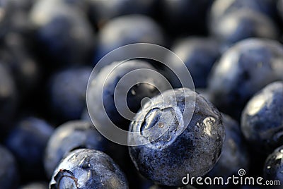 Fresh Blueberries Stock Photo