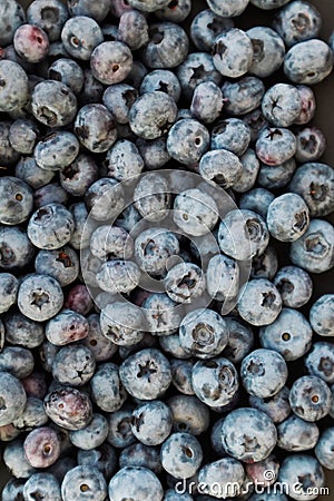 Fresh blueberries background. Berries close up, Texture blueberry. Stock Photo