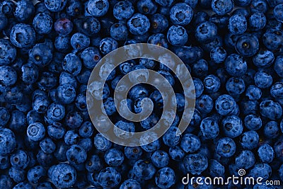 Fresh blueberry background. Stock Photo