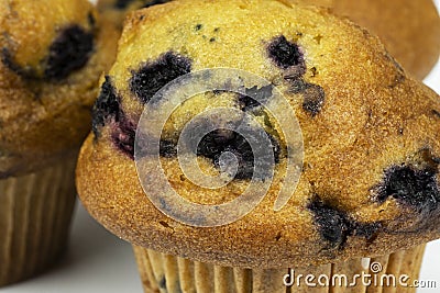Fresh Blueberry Muffins Stock Photo