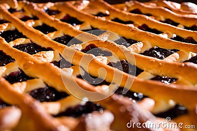 Fresh blueberry pie Stock Photo