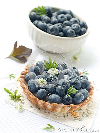 Fresh Blueberry Tart Stock Photo