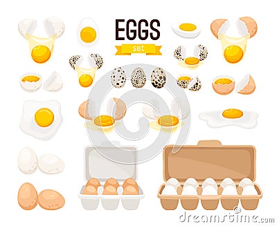 Fresh and boiled eggs Vector Illustration