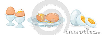 Fresh and boiled eggs. Chicken broken eggs with cracked eggshell and yolks, in cardboard box, egg half with yolk, boiled and fried Vector Illustration