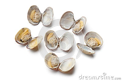 Fresh boiled seashells Stock Photo