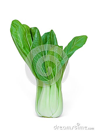 Fresh Bok choy Stock Photo