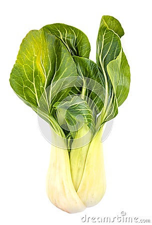 Fresh Bok Choy (Pak Choi) Stock Photo