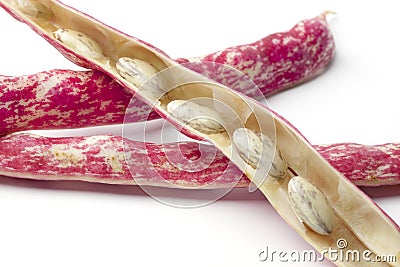 Fresh Borlotti beans in the shell Stock Photo