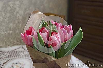 Fresh bouquet of pink tulips wrapped in papper at home interior. Stock Photo