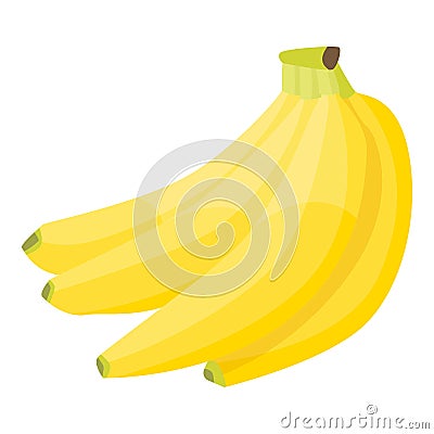 Fresh branch banana icon, isometric style Vector Illustration