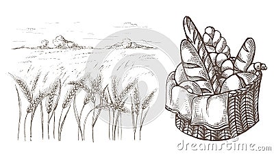 Fresh Bread Basket and Ears of wheat Vector Illustration