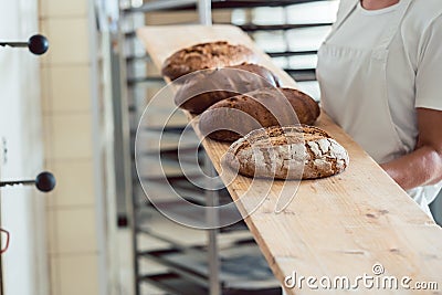 Fresh bread on a board in bakehouse of bakery Stock Photo