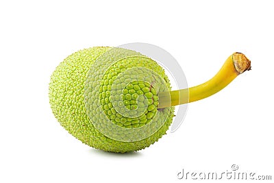 Fresh breadfruit isolated on a white background Stock Photo