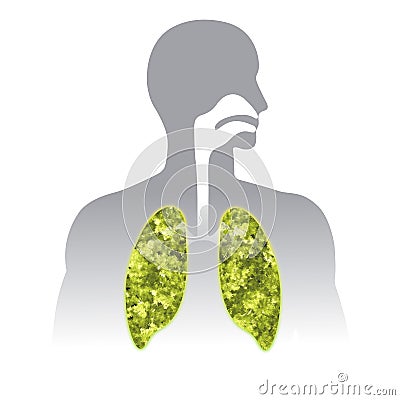 Fresh breath. Green Human lung illustration info graphic. Cartoon Illustration
