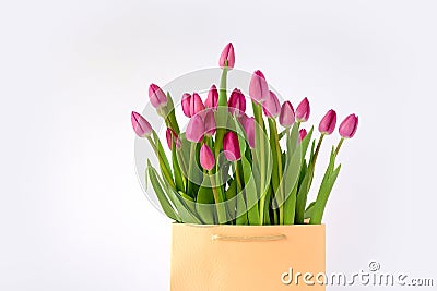 Fresh bright bouquet of pink tulip in white bucket. Beautiful greeting card. Spring holidas concept Stock Photo