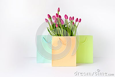 Fresh bright bouquet of pink tulip in white bucket. Beautiful greeting card. Spring holidas concept Stock Photo