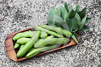 Fresh broad beans Stock Photo