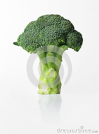 Fresh broccoli Stock Photo