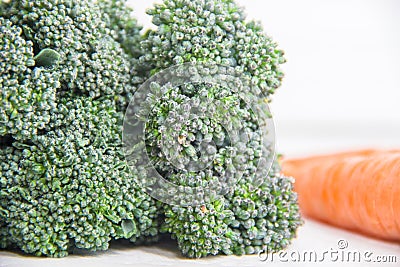 Fresh broccoli sprouts florets with tiny waterdrops like emeralds close-up macro shot, healthy diet Stock Photo