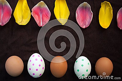 Fresh brown eggs and painted Ester eggs and petals of a Tulip Stock Photo