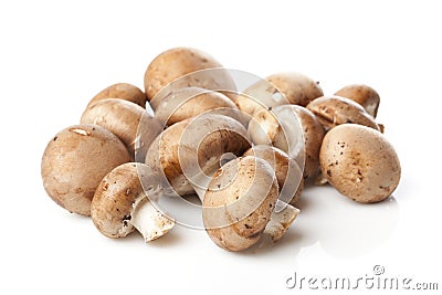A fresh brown mushroom Stock Photo