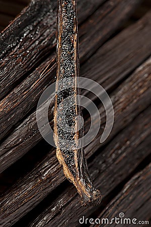 Fresh Brown Organic Vanilla Bean Stock Photo