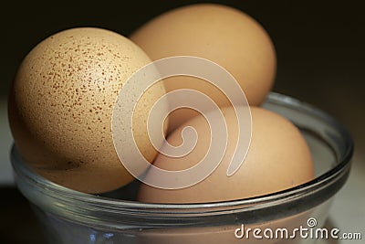 Fresh brown yard eggs photo. Stock Photo