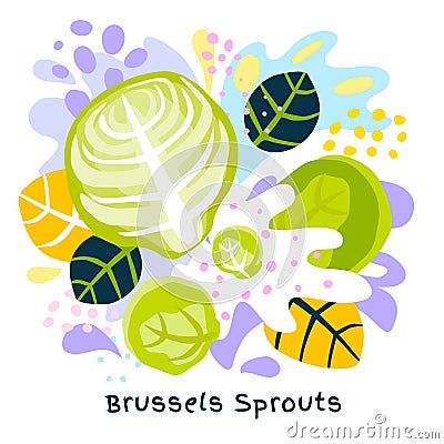 Fresh brussels sprouts cabbage vegetable juice splash organic food on abstract coloful splatter splash background vector Vector Illustration