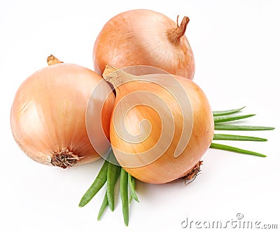 Fresh bulbs of onion Stock Photo