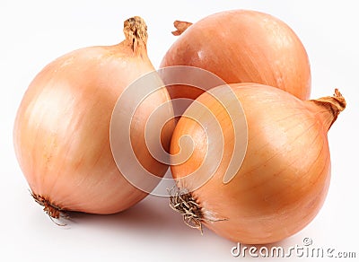 Fresh bulbs of onion Stock Photo