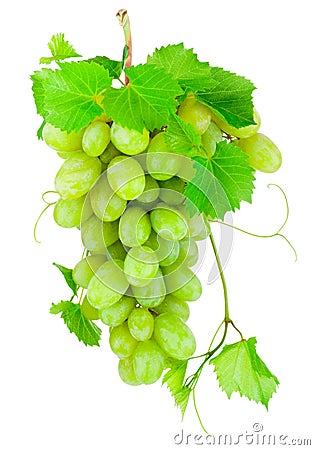 Fresh bunch of green grapes isolated on white background Stock Photo