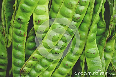 Fresh bunch of Parkia speciosa or green beans Stock Photo