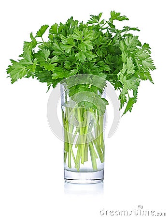 Fresh bunch parsley in glass Stock Photo