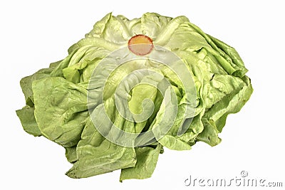 Fresh butterhead lettuce isolated on white background Stock Photo