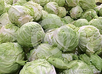fresh cabbage Stock Photo