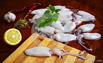 Fresh calamari. Squid. Seafood, lemon, garlic, pepper, parsley. Stock Photo