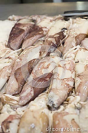 Fresh calamary Stock Photo