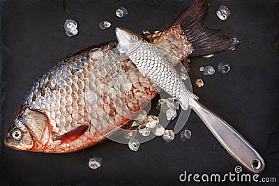 Fresh carp. Stock Photo