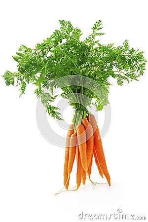 Fresh carrot Stock Photo