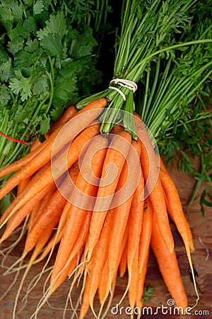 Fresh Carrot Stock Photo